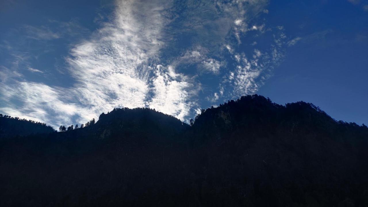 Snow View Guest House Kasol Buitenkant foto