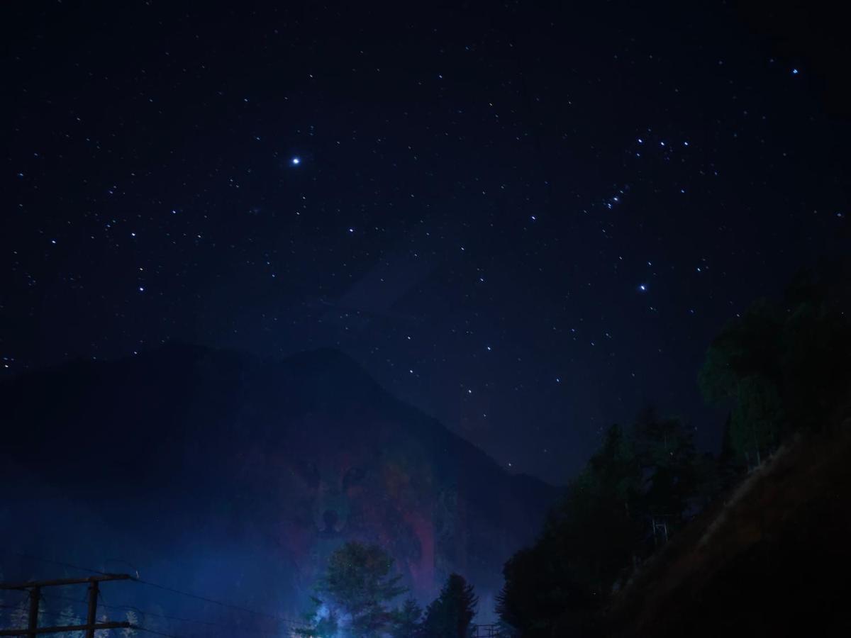 Snow View Guest House Kasol Buitenkant foto