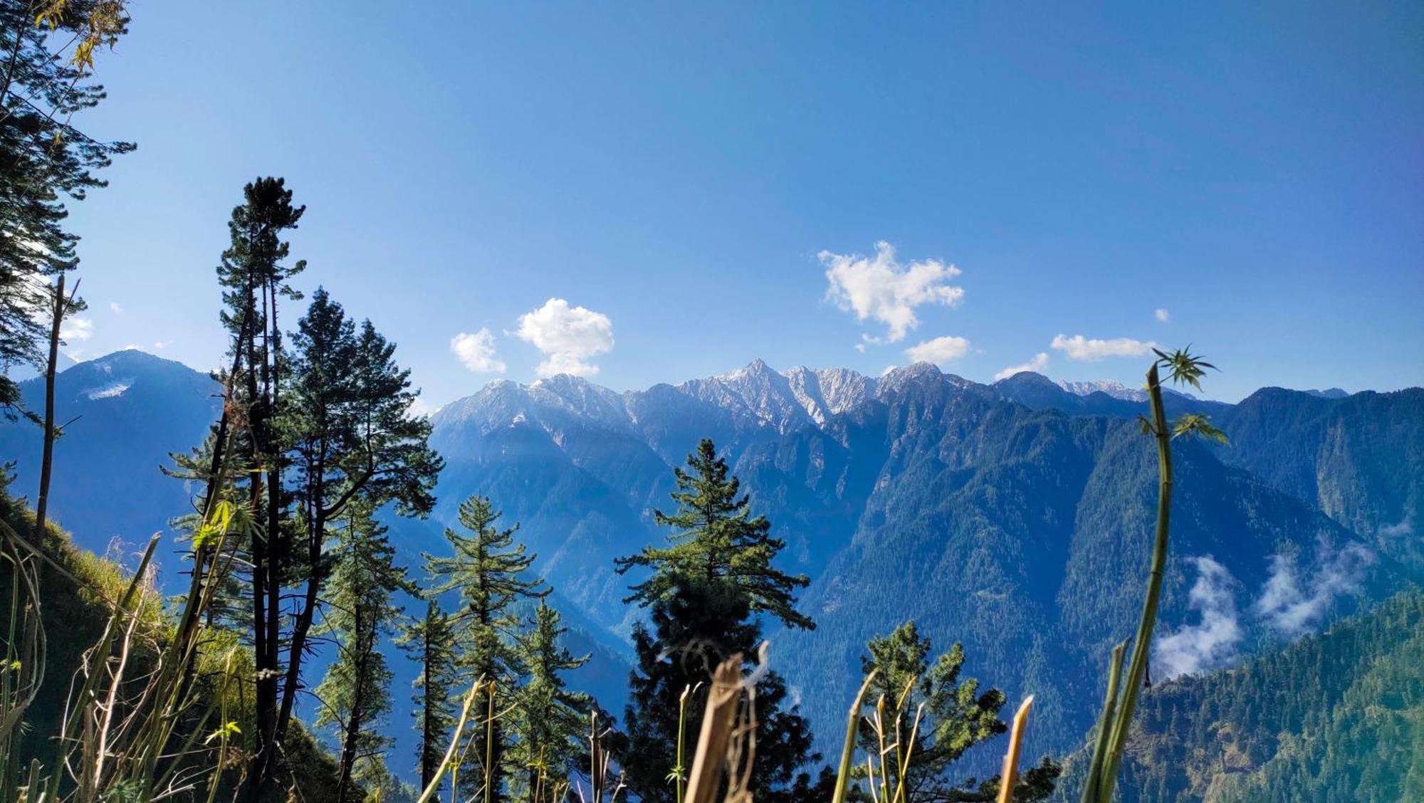Snow View Guest House Kasol Buitenkant foto