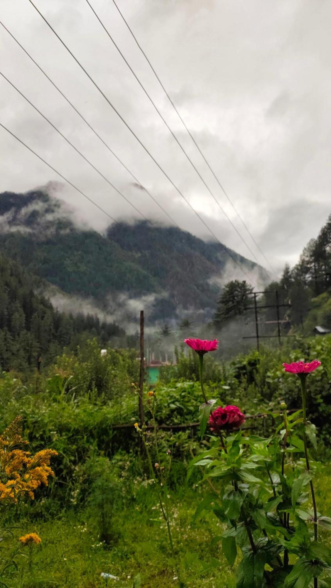 Snow View Guest House Kasol Kamer foto
